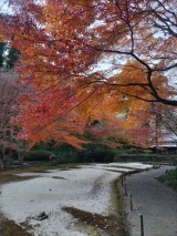 DSC_1471 DSC_1471-e1738740730722